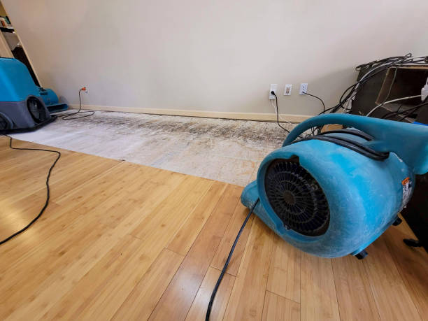Professional Basement Flood Cleanup technician working in Port Huron, MI